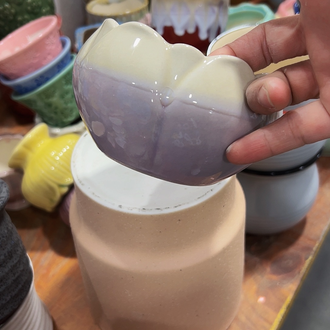 花盆花盆花盆花盆花盆花盆花盆花盆