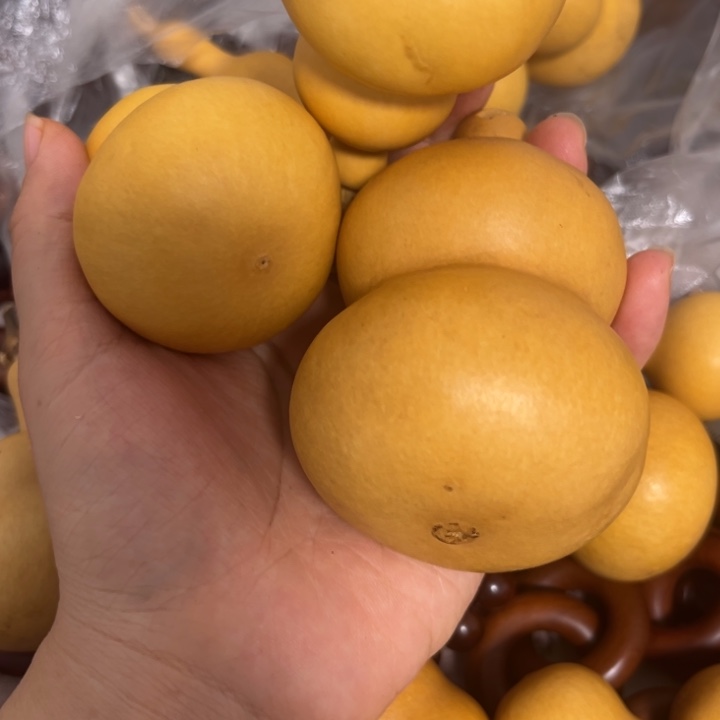 枣木隐*葫芦大16个小的3个