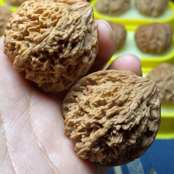 文玩核桃满天星41