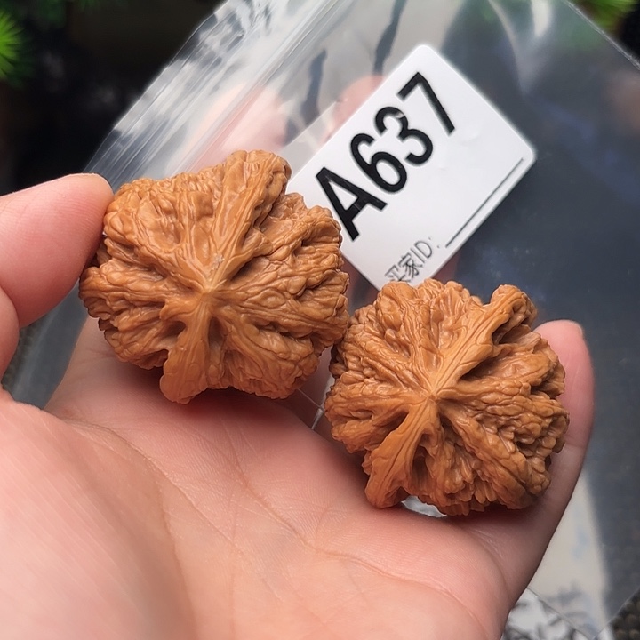 桃核把件核桃大粗筋42