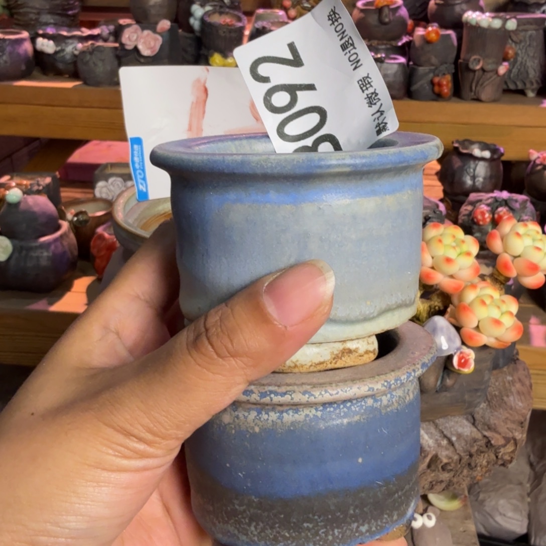 重庆小燕子欢迎大家092