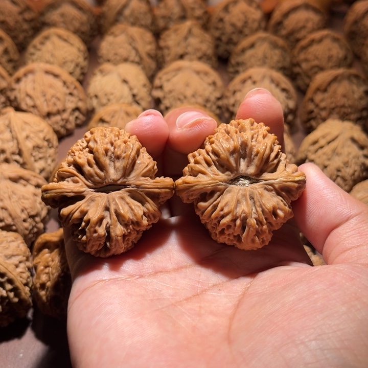 核桃手串/手链代*生南疆42尺寸