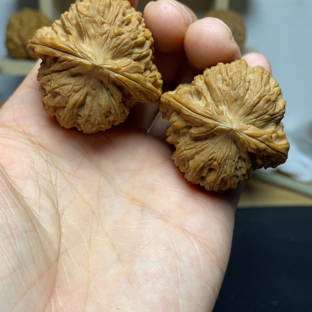 大叶紫檀（黑酸枝木类）42球疆