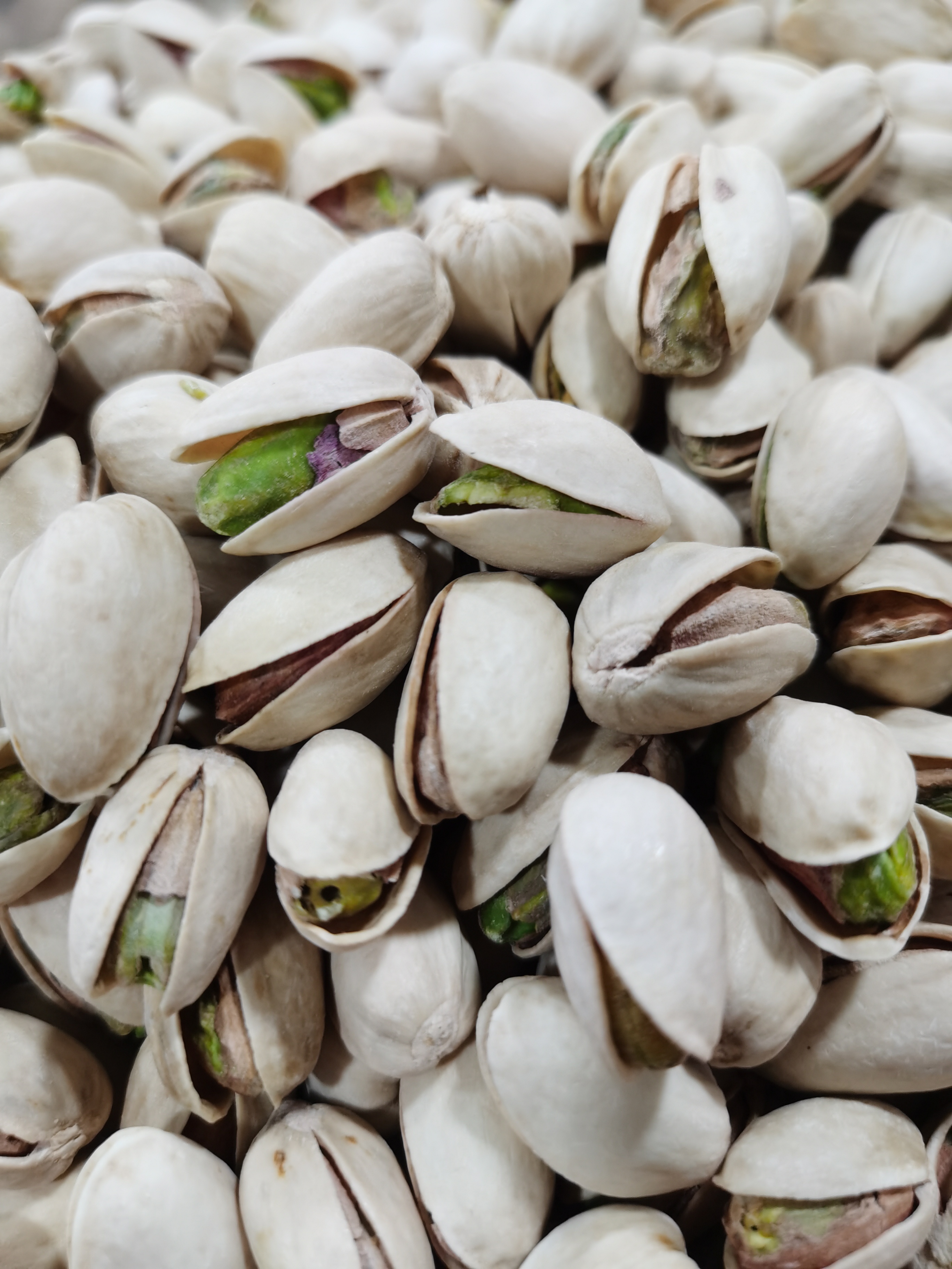 （嘴上乐）特大原色开心果