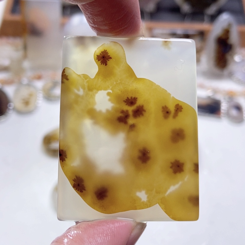 【闪购商品】玛瑙/玉髓颈饰未镶嵌
