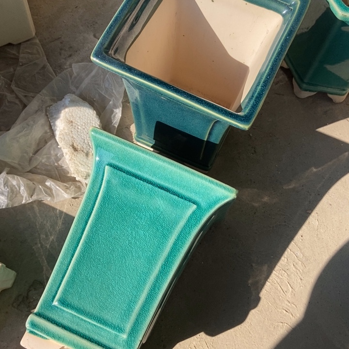 花盆花盆花盆花盆