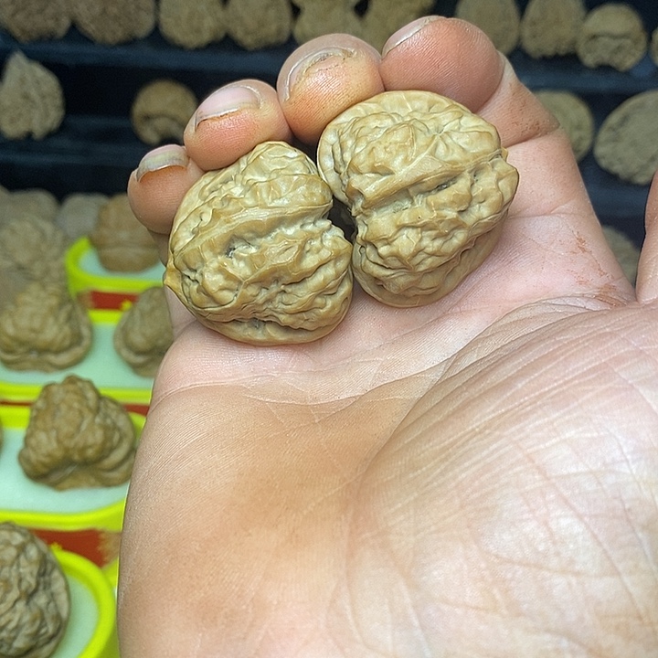 T***t核桃蛤蟆头成品对