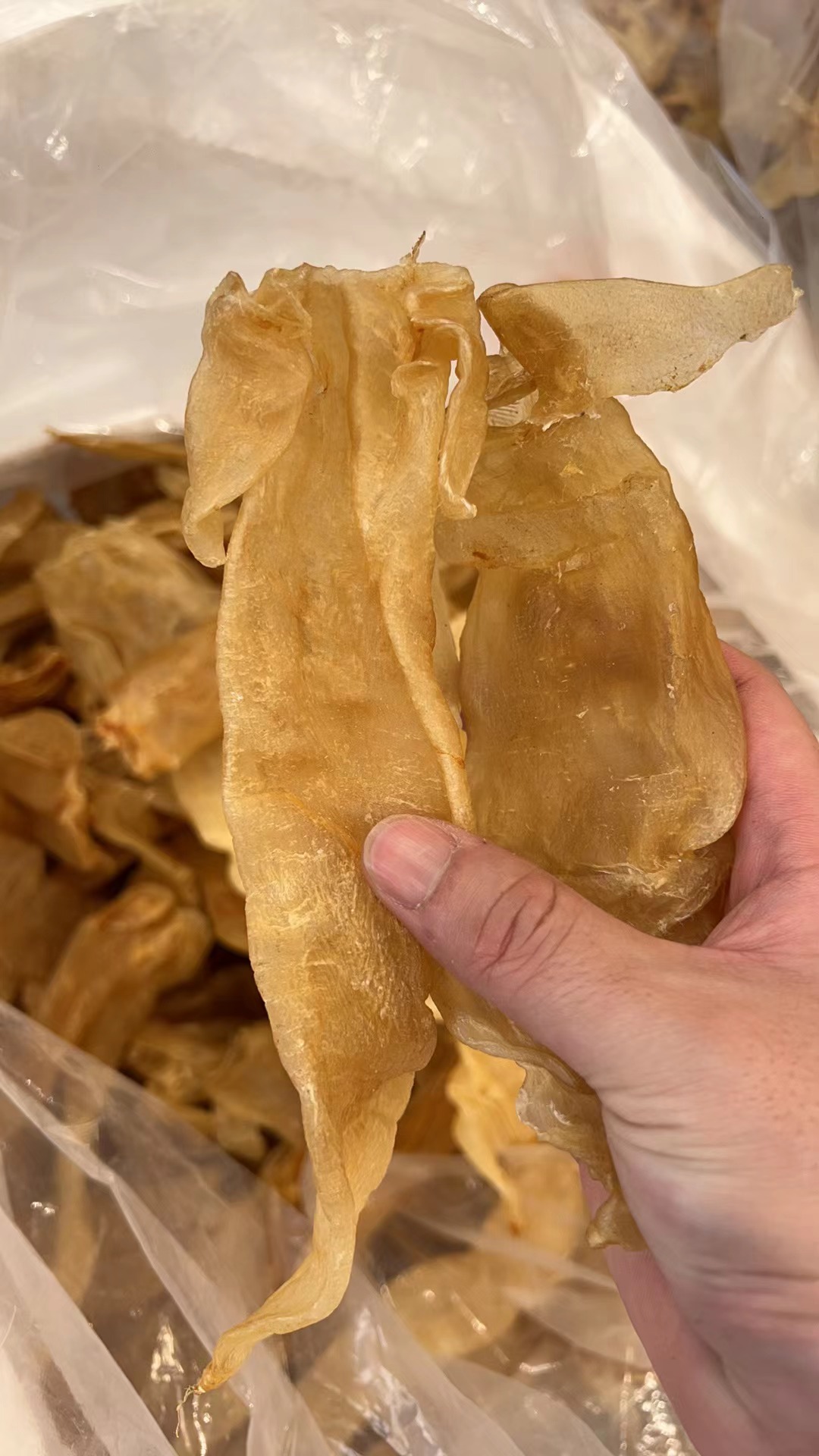 速鲜汇14-15头大耳金钱鱼胶250g（送布袋）
