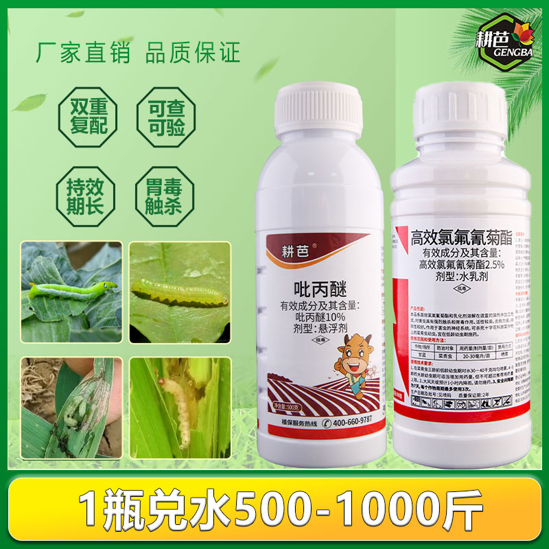 【金界专属】耕芭高效氯氟氰菊酯室外吡丙醚悬浮剂卫生杀虫剂