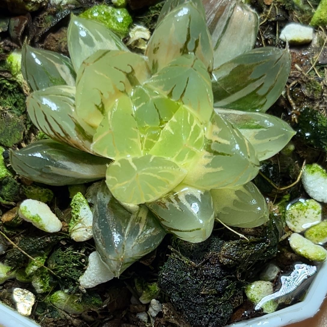 恭喜发财大吉大利937