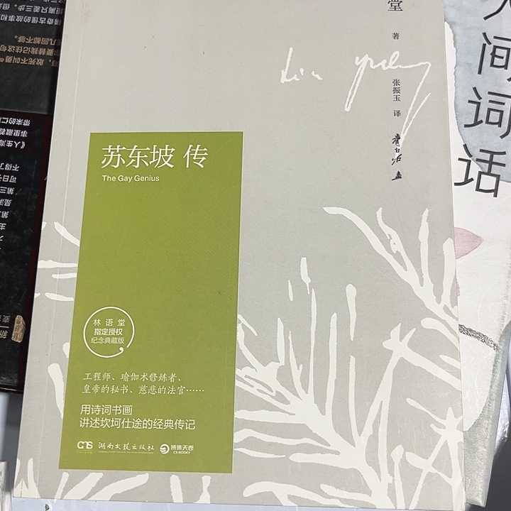 苏东坡传全新推荐