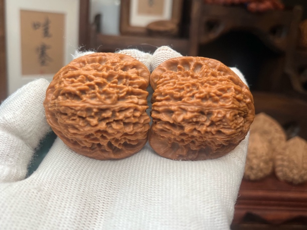 涿鹿南将石凹底南疆石三角疆精对