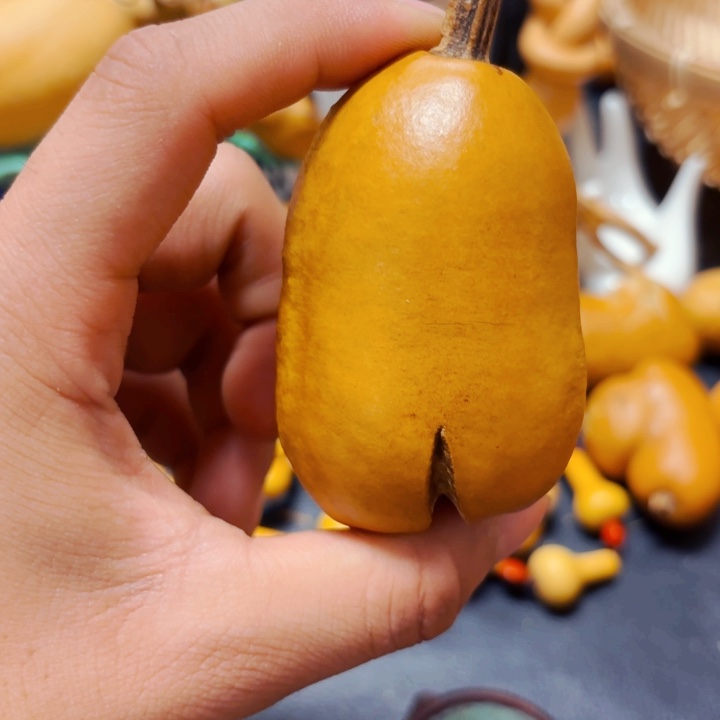 @***单风裂88888888888888888