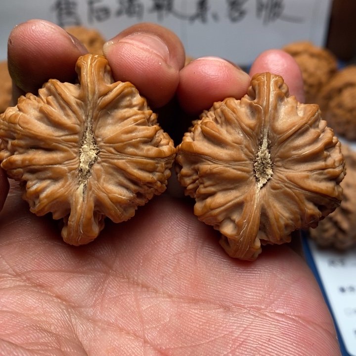 吊坠文玩核桃开**白狮子888