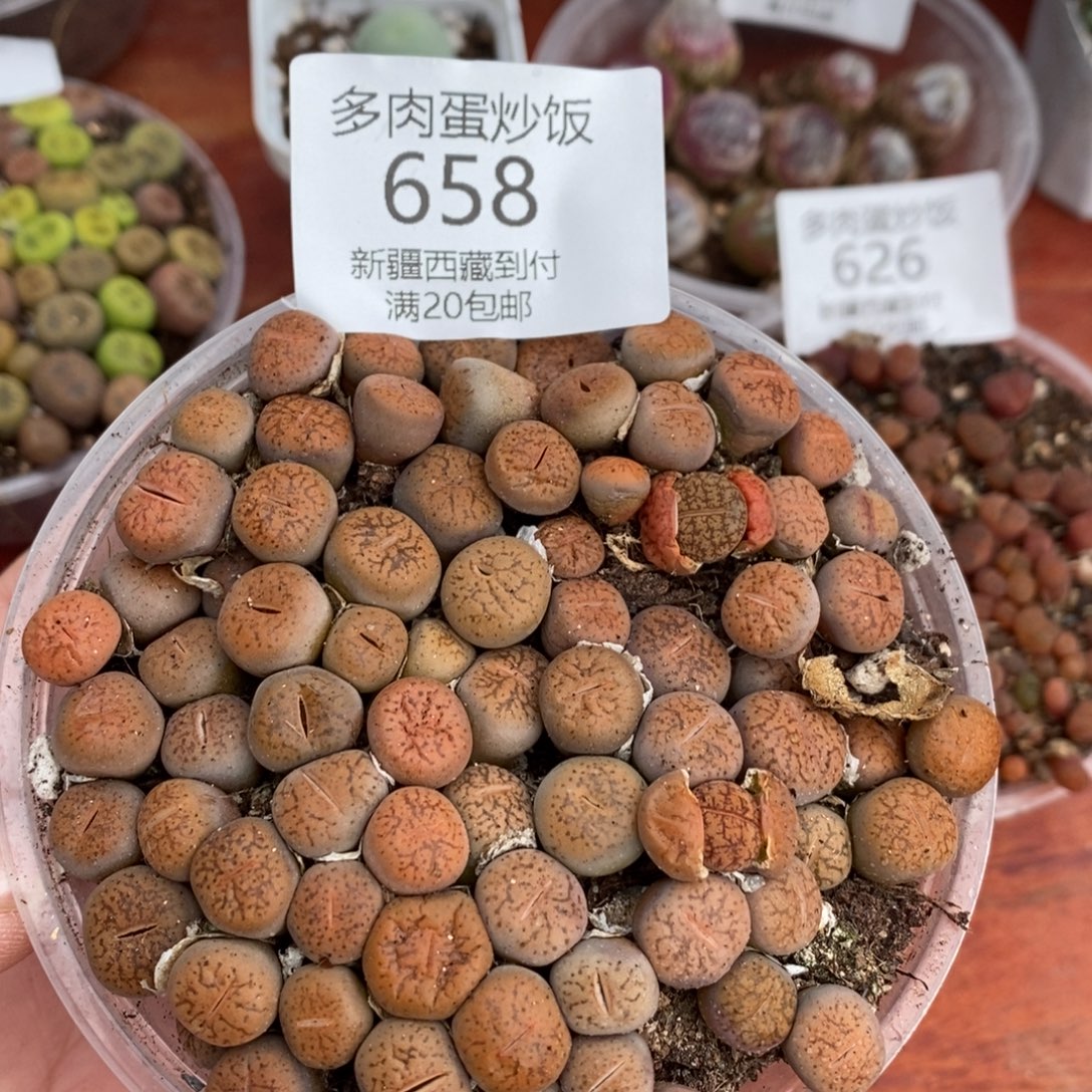 感谢您的支持，658