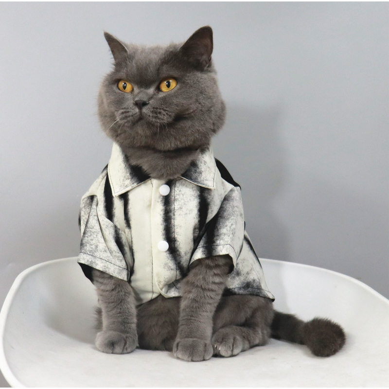 潮宠物猫咪小型小狗衣服猫咪衣服夏季薄款防掉毛衬衣、泼墨度假风