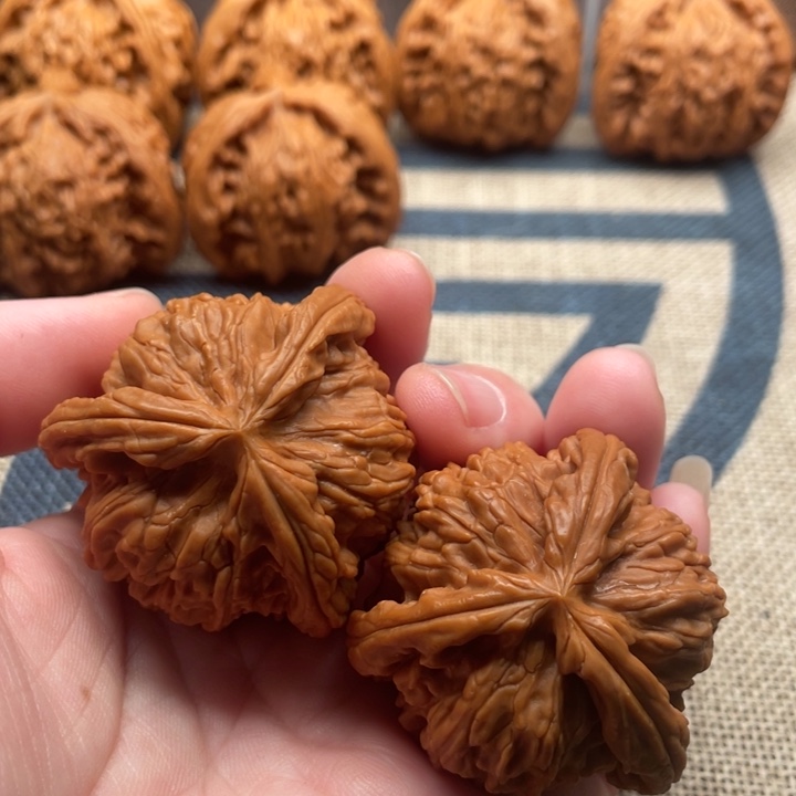 中***中石楠木白狮子41核桃