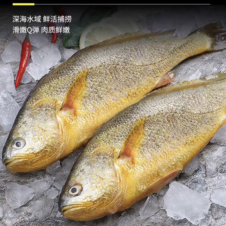 冰鲜 黄花鱼 约1.8-2斤/条（默认宰杀处理）