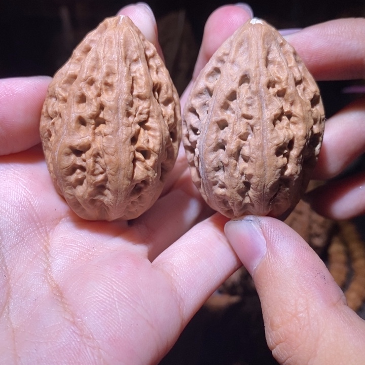 把件文玩核桃东北野生楸子小园208