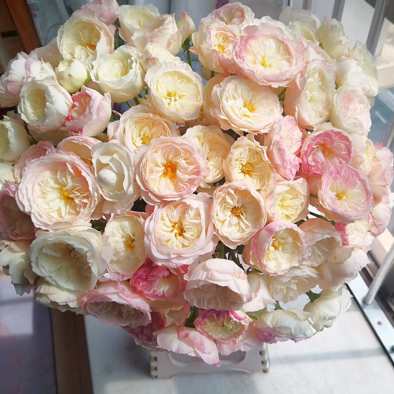 七叶花坊#多头玫瑰 【凯拉】鲜花优选 顺丰直发