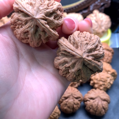 文玩核桃吊坠粗筋