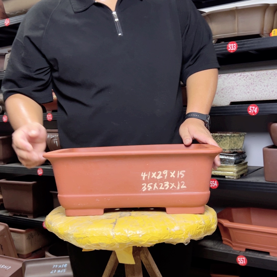 紫砂花盆呜呜呜呜呜我