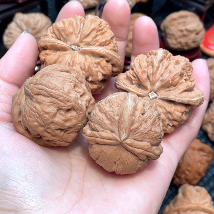 嘣*原装粗筋4.7全品无修，元宝左右逢缘3.8全品无修