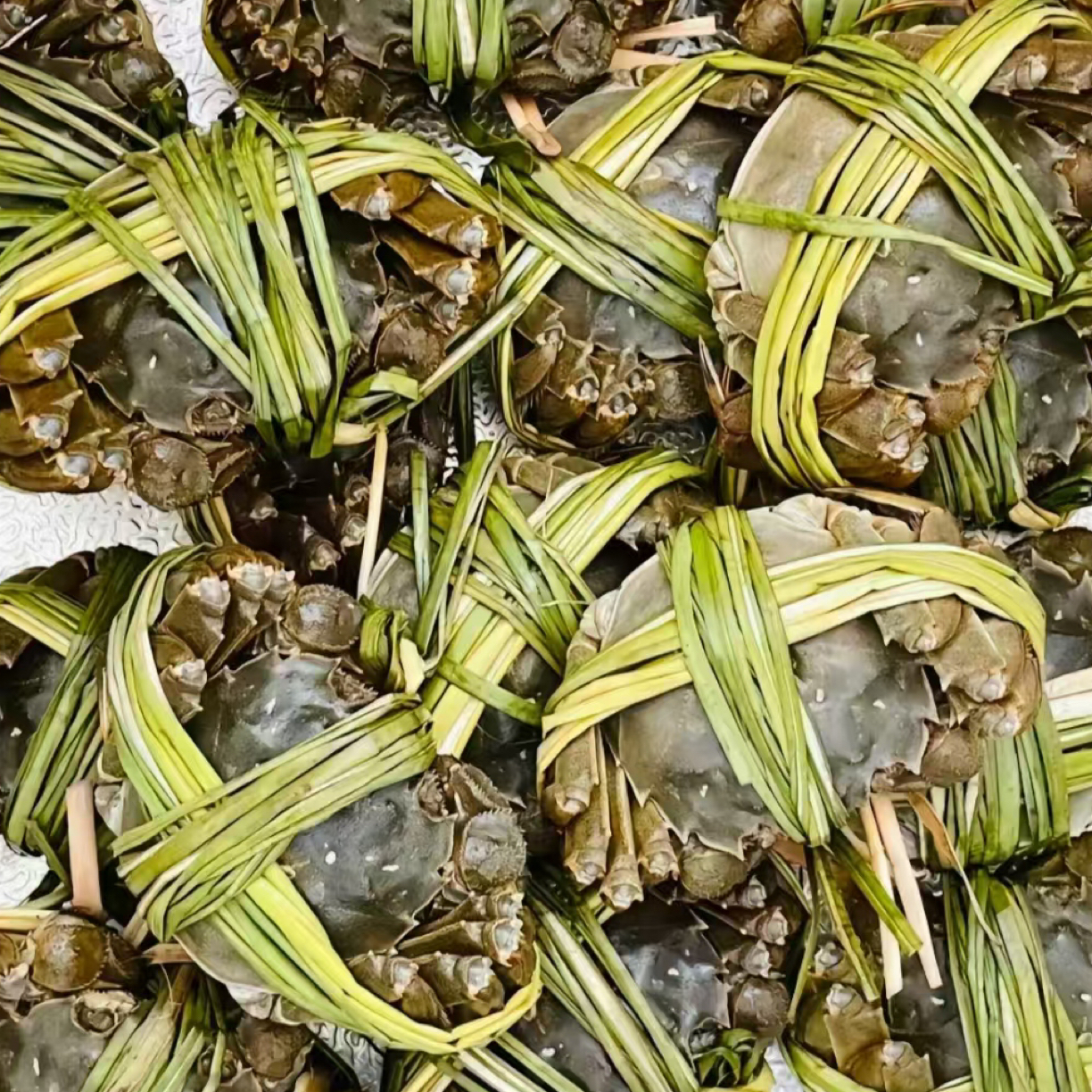 【活蟹】3.0母蟹鲜活大闸蟹【130克-145克】每只2.6两~3两