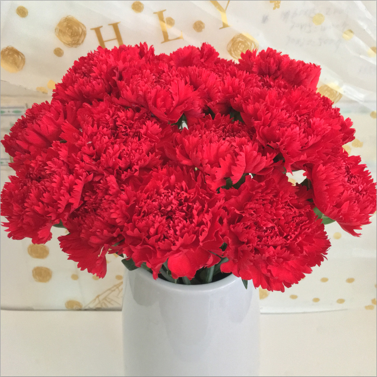 【单头康大红色】康乃馨鲜花花束生日云南昆明直发速递同城母亲节