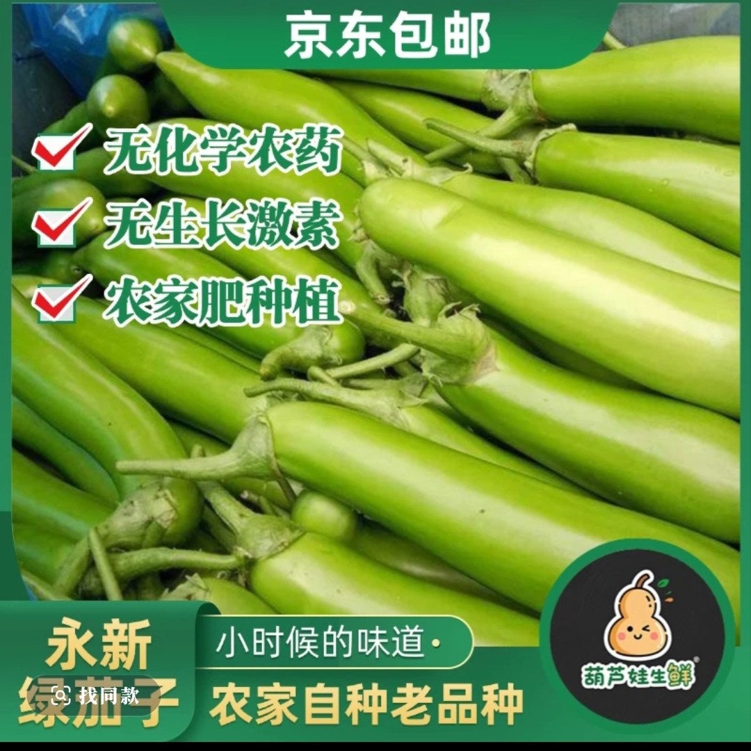山东省沂蒙山青茄子青茄子