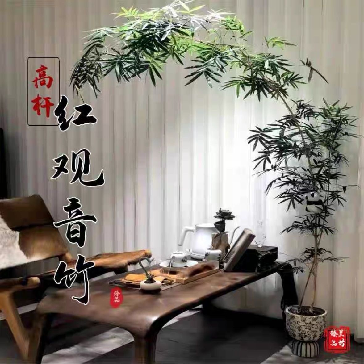 红观音竹弯飘枝室内水培好养四季常青绿植盆栽