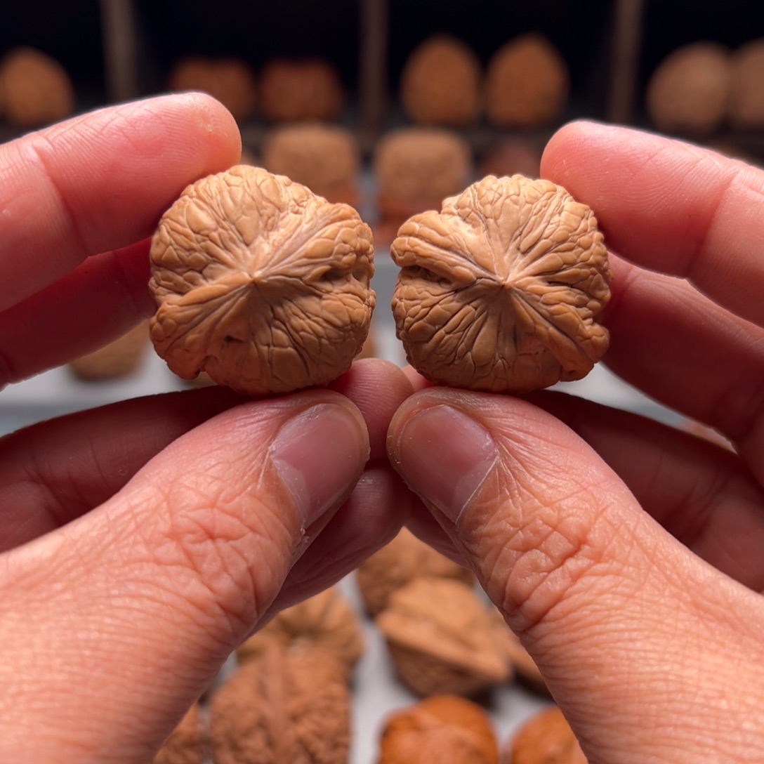 文玩核桃把件J*31乾坤元宝