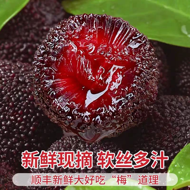 【正宗云南杨梅】云南石屏现摘新鲜杨梅新鲜应季水果包邮G杨梅同城送云南省