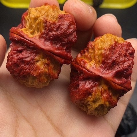 文玩核桃把件45尺麒麟元宝