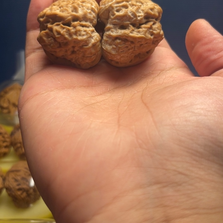 文玩核桃把件40蛤蟆