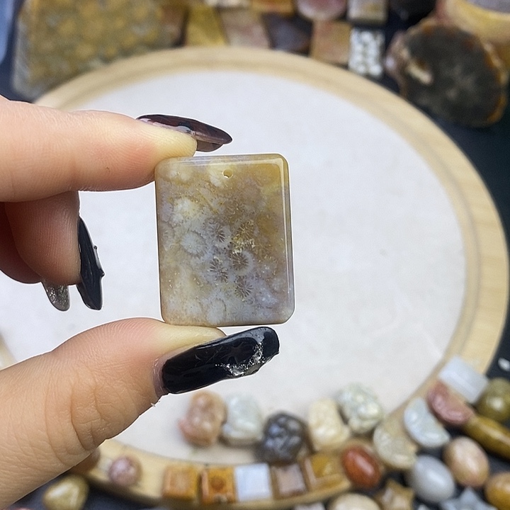 硅化玉未镶嵌颈饰1