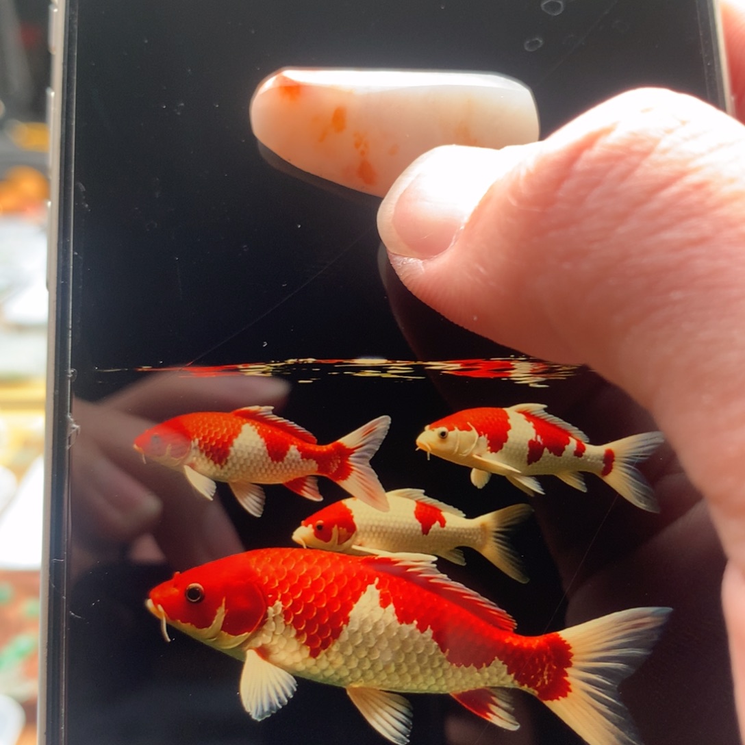 定制翡翠未镶嵌锦鲤