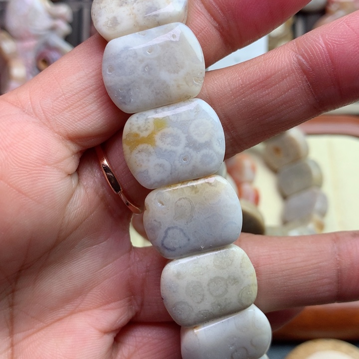 硅化珊瑚（珊瑚玉）颈饰未镶嵌