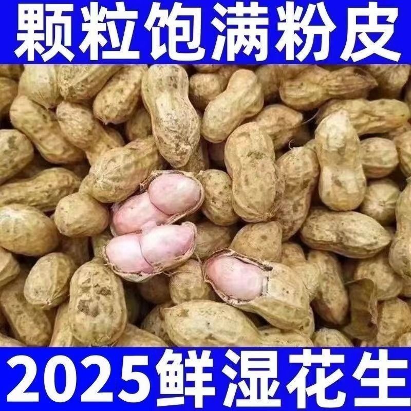 安徽小花生小白沙新鲜花生带泥现挖湿花生水煮粉皮花生