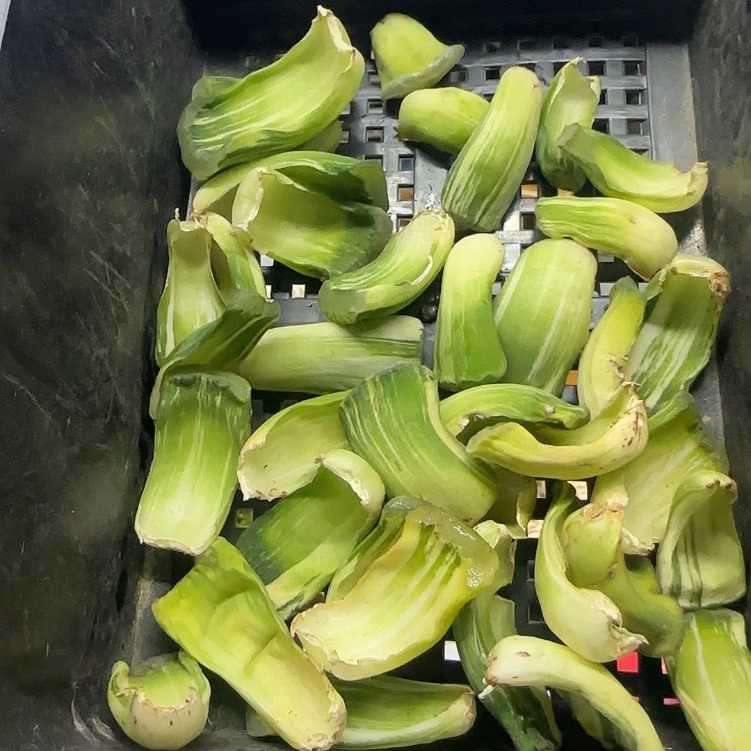 鬼盐城叶子一二三