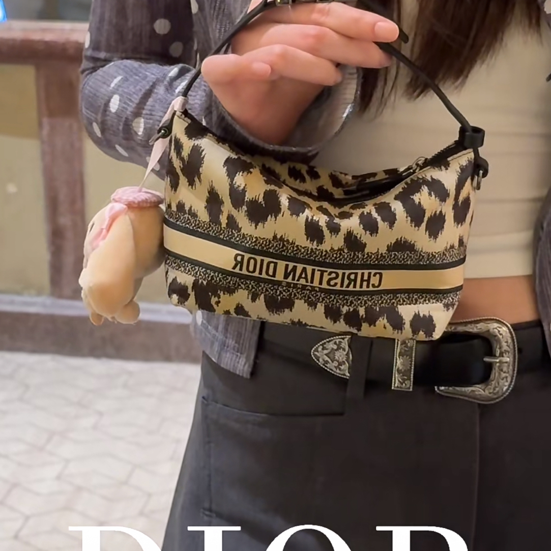 95新 DIOR/迪奥 阿白奢品/Dior 豹纹饭盒包