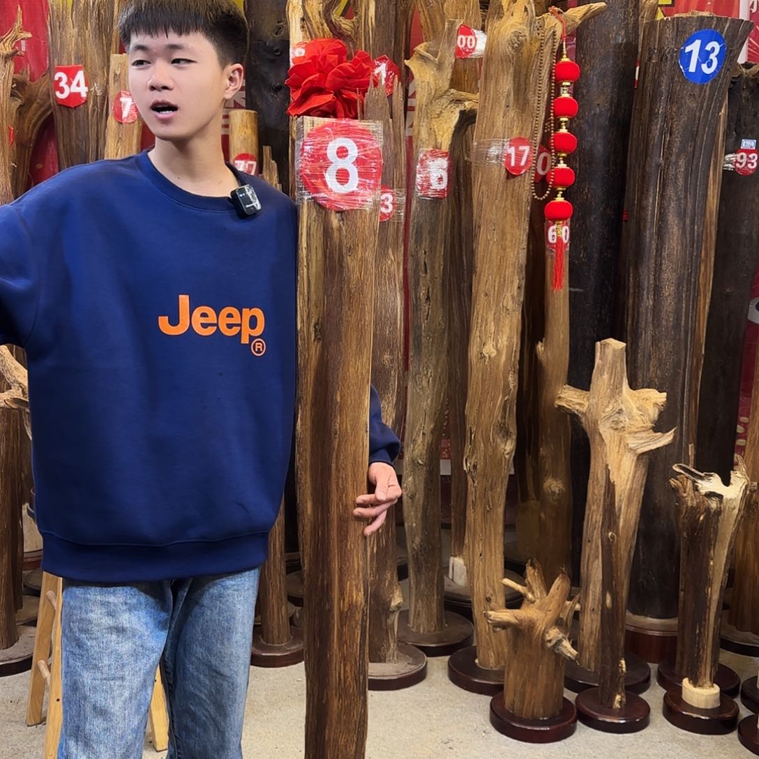 沉香摆件青*海南沉香