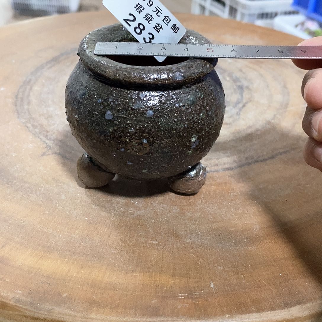 红陶处理的，处理
