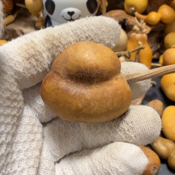 酒***子676666666777777¥¥¥