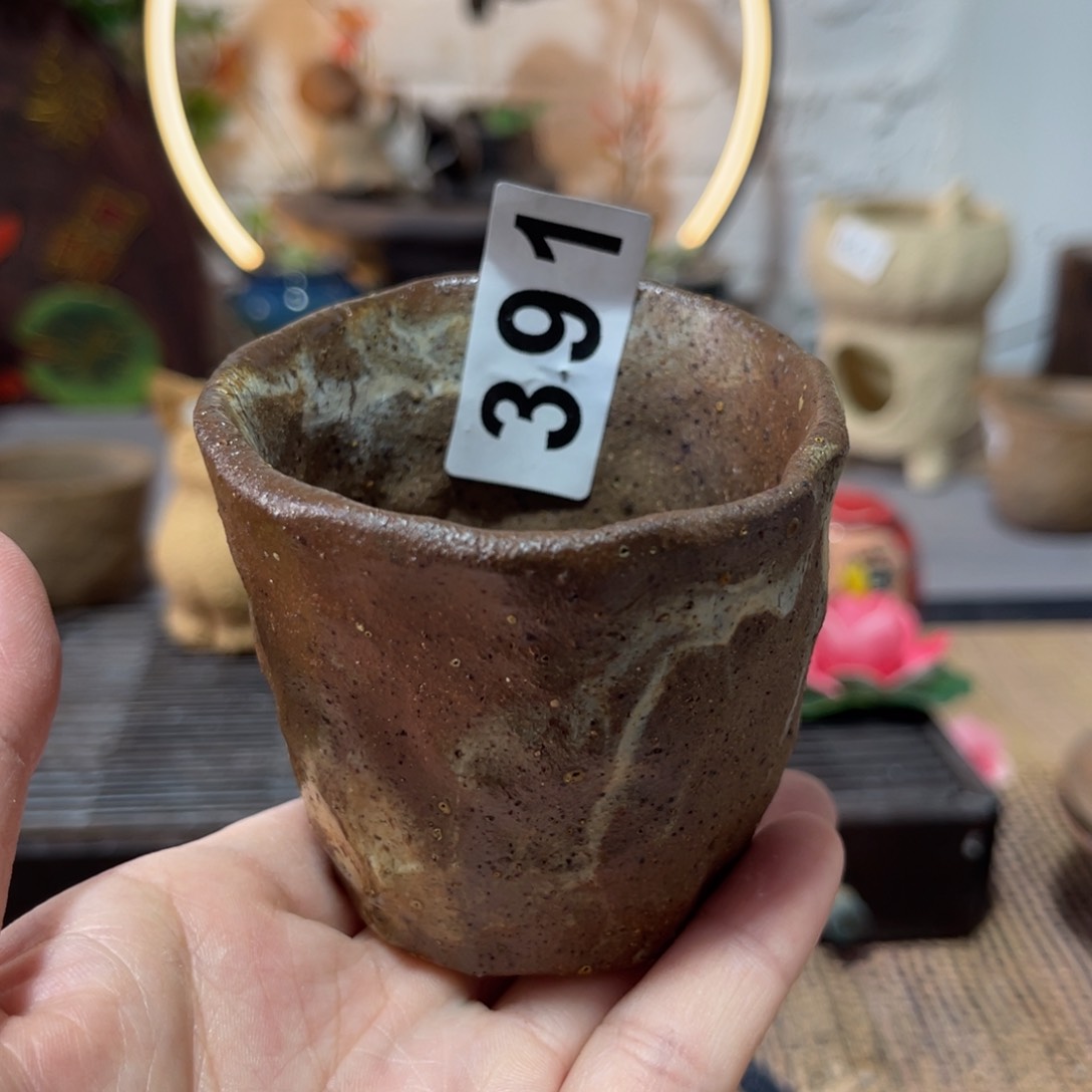 木村信弘柴烧保平