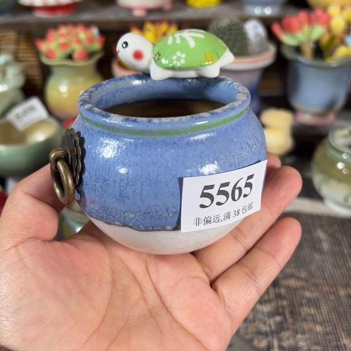 口5.5 手工花盆满30包邮