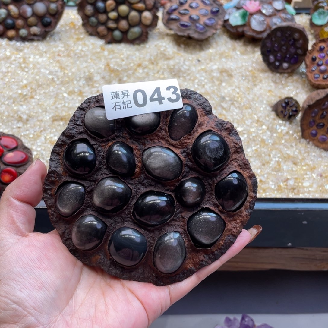 核桃木/黑胡桃（胡桃木）安****子043