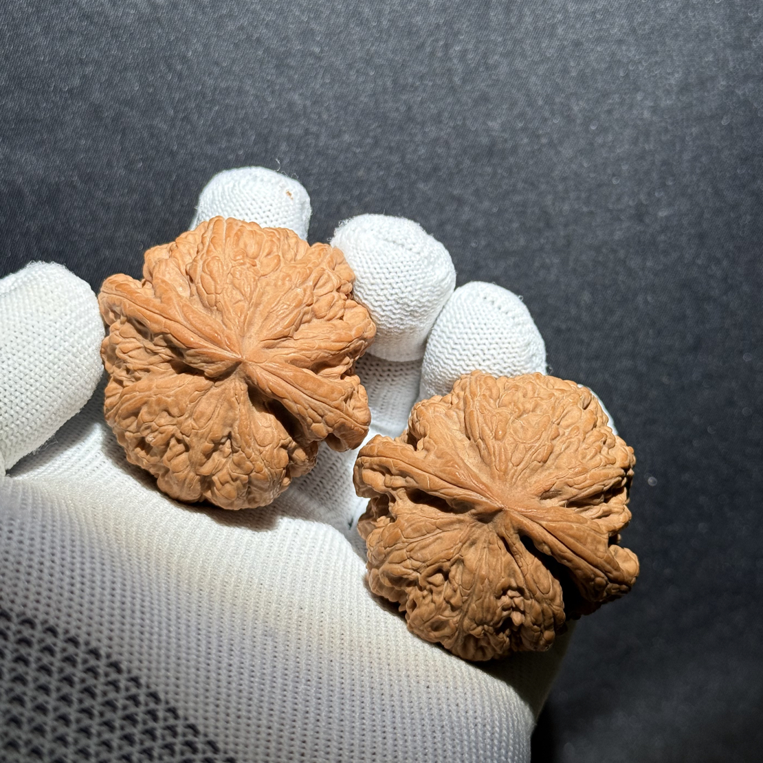大粗筋狮子头八筋聚顶闷尖文玩核桃手把件老树把玩好物