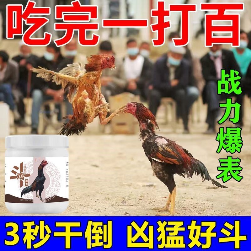 【一吃五连胜】斗鸡用品斗鸡料斗鸡饲料斗鸡绝杀鬼子斗鸡打料