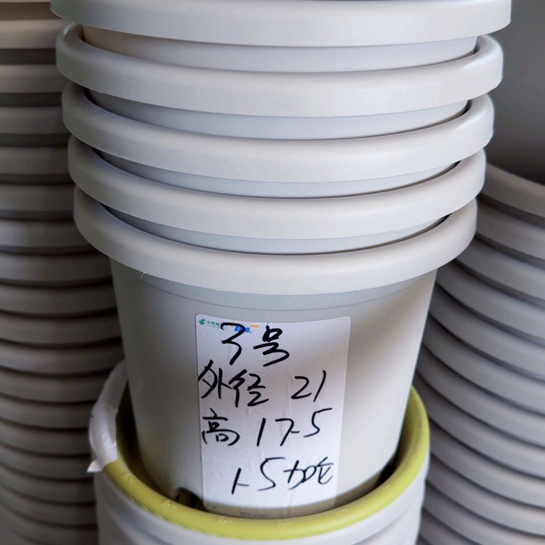 微瑕3#无拖灰白10个